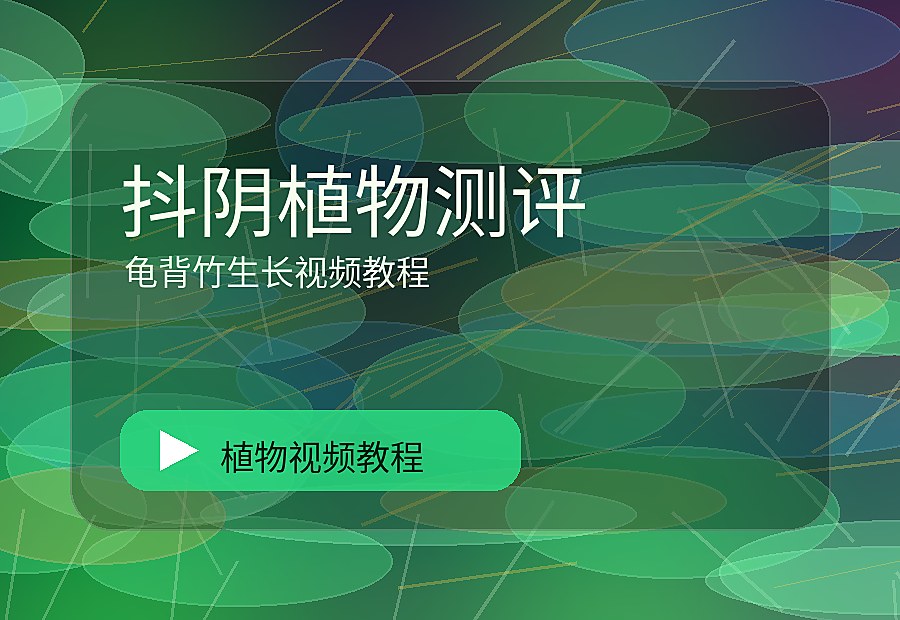 少叶花园