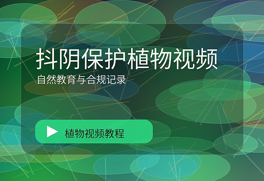 少叶花园